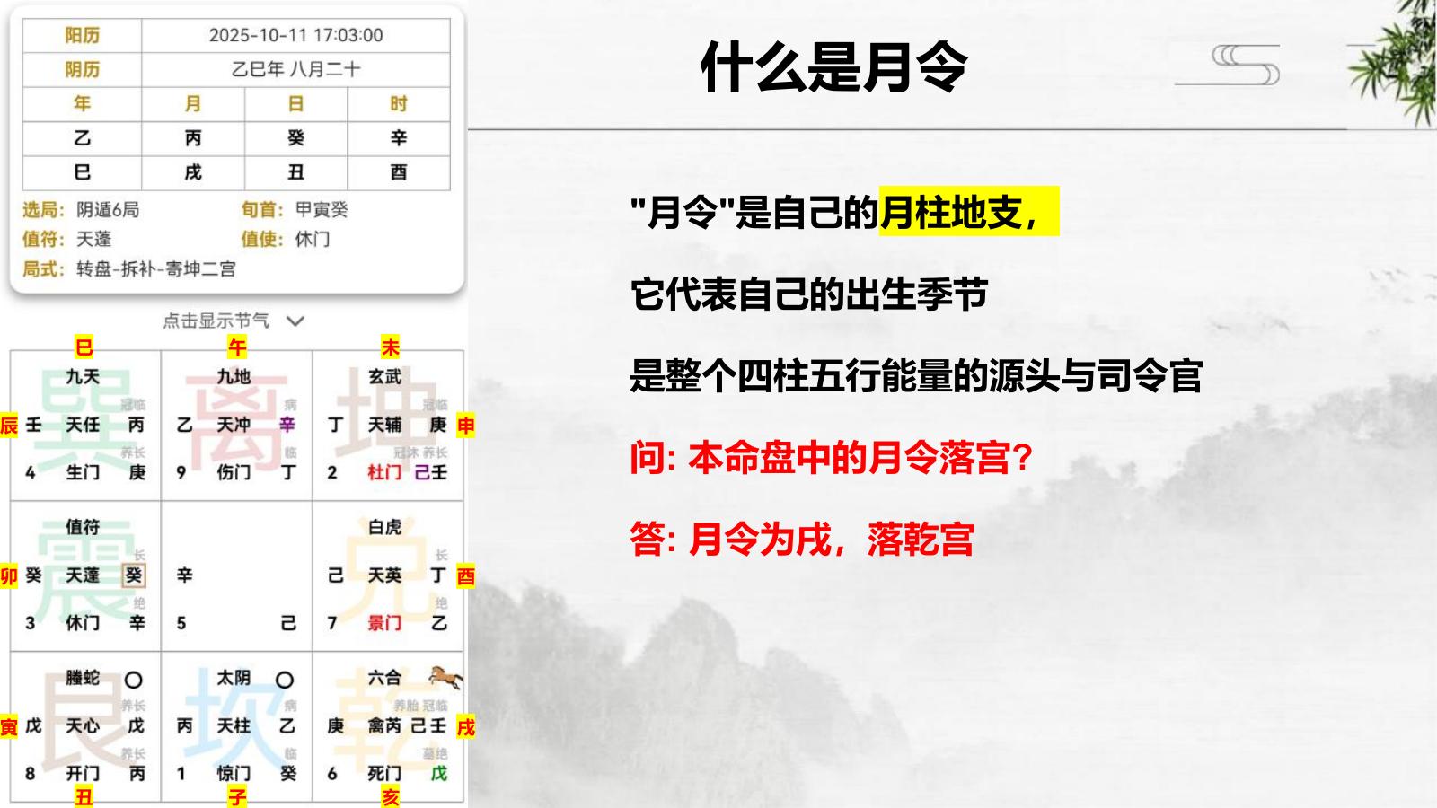 预览