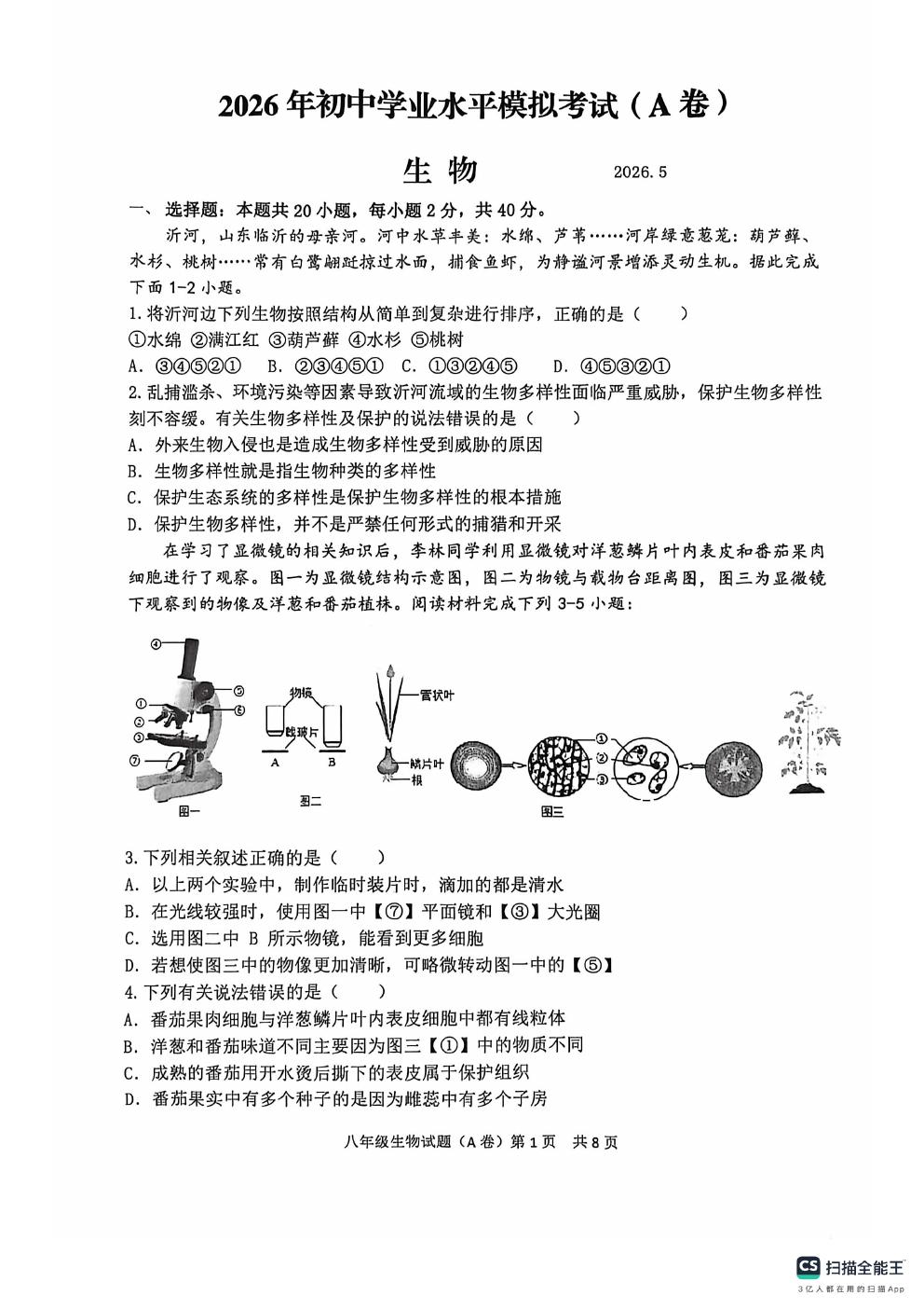 预览
