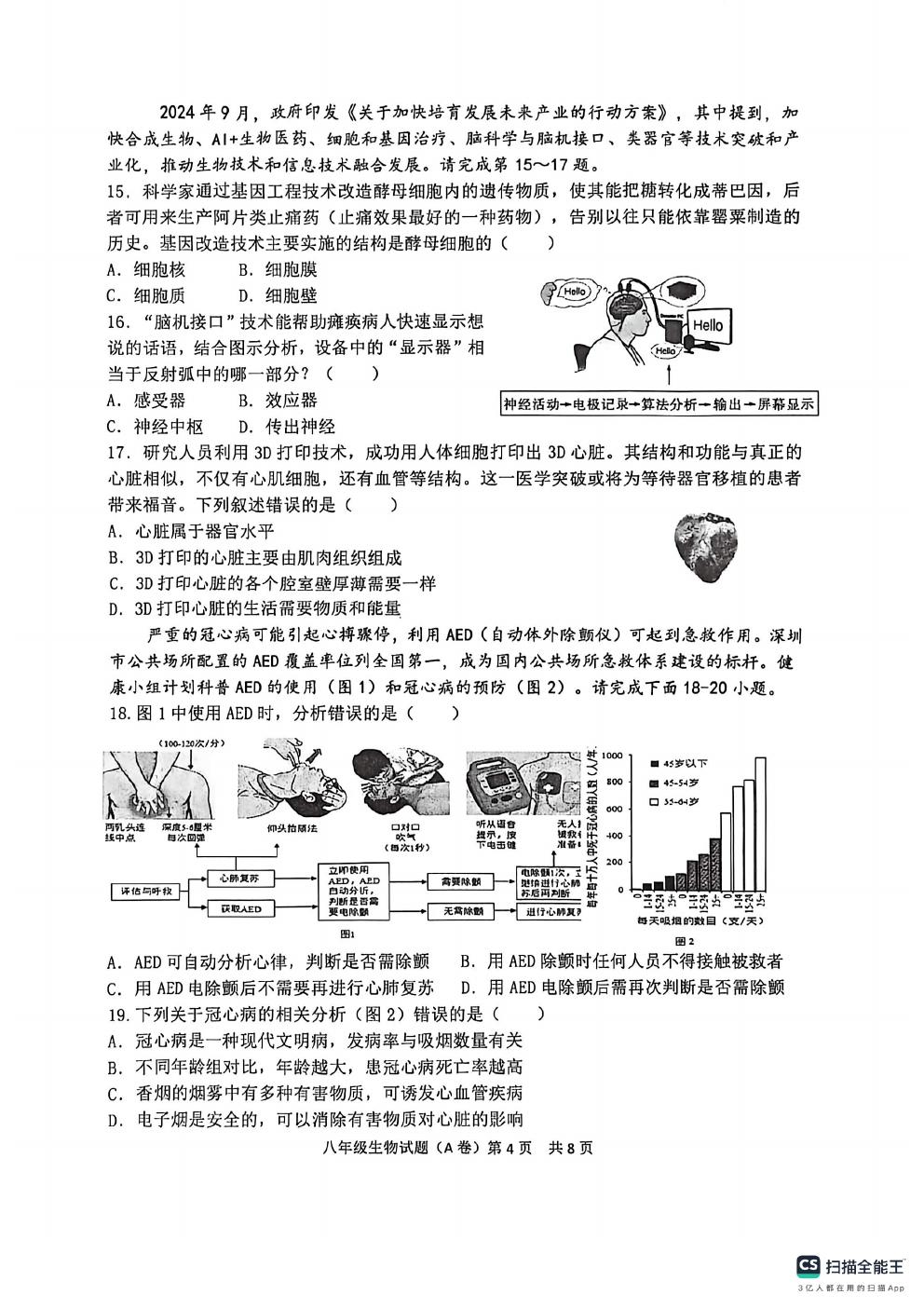 预览