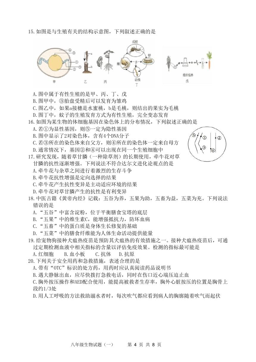 预览