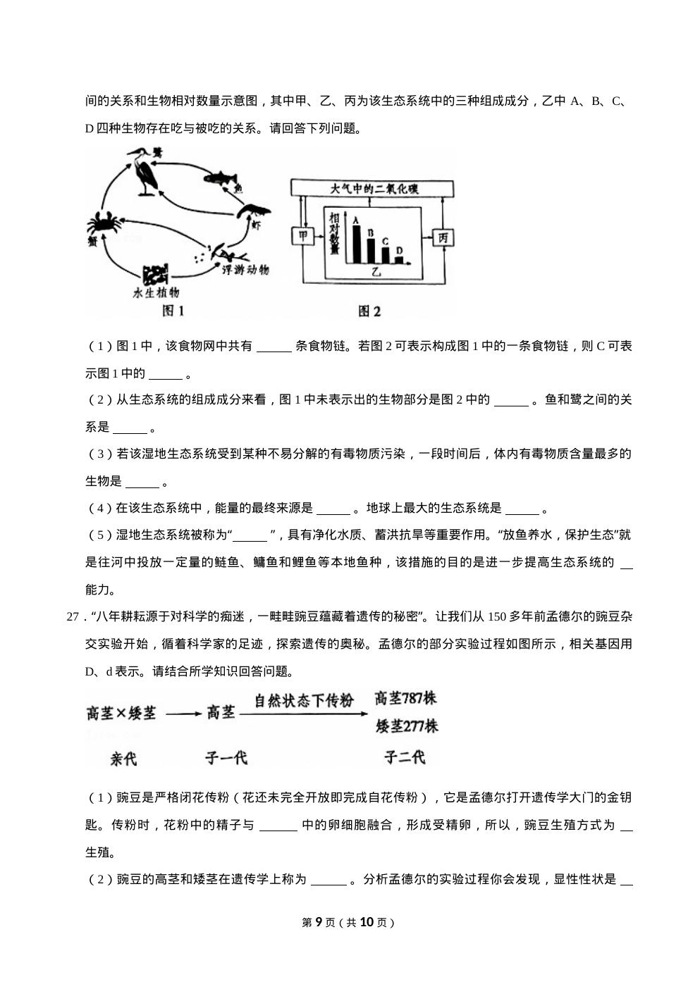 预览