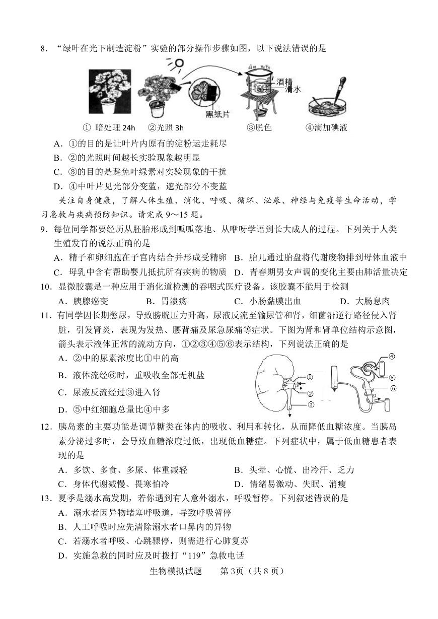 预览